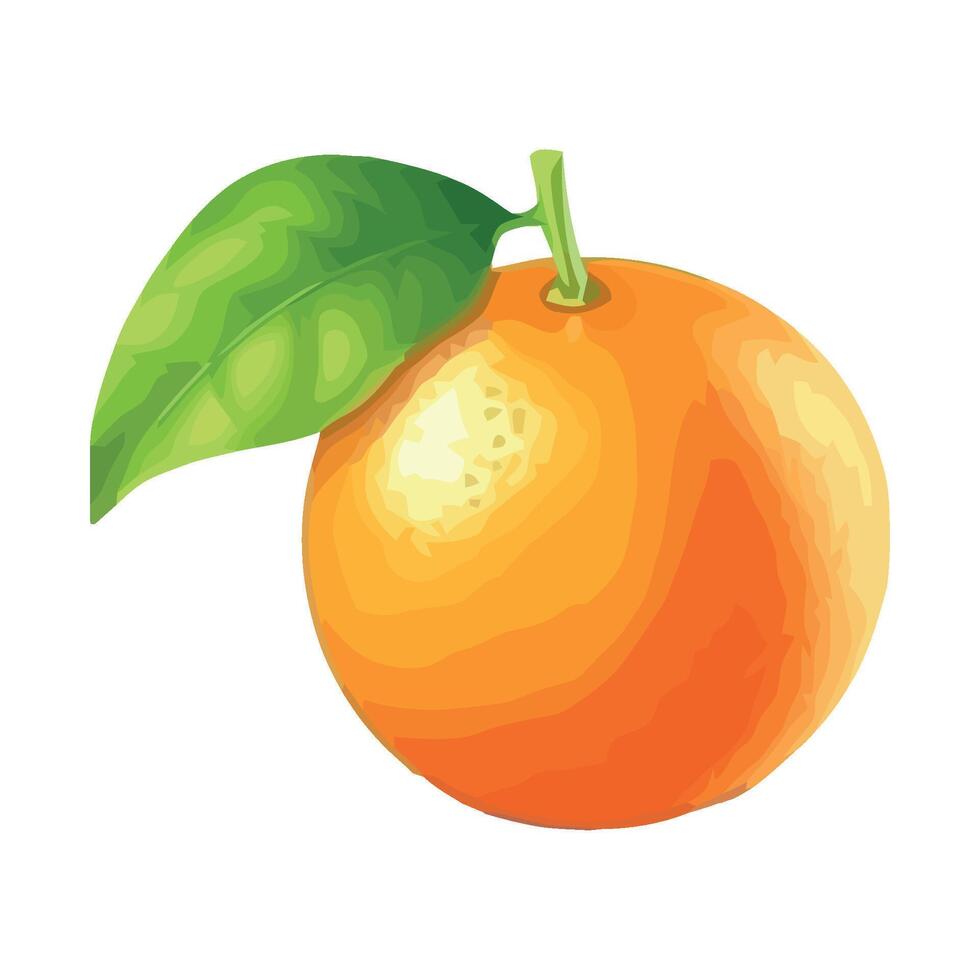 Orange with green leaf illustration vector