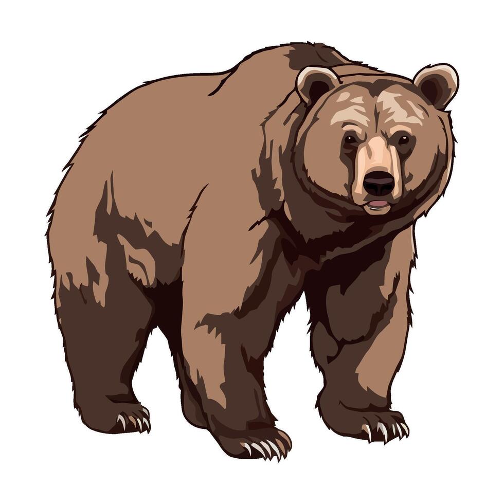 A brown bear standing on a white background vector
