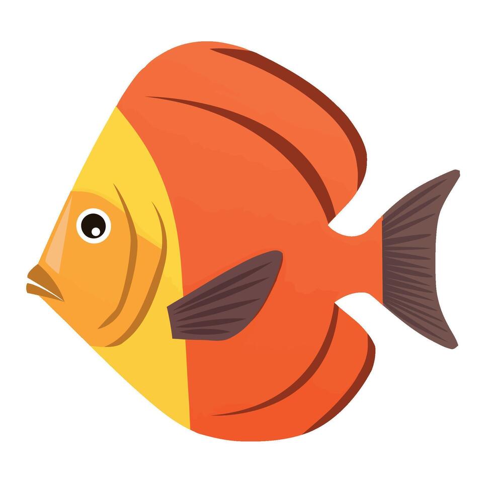 An orange and yellow fish on a white background vector