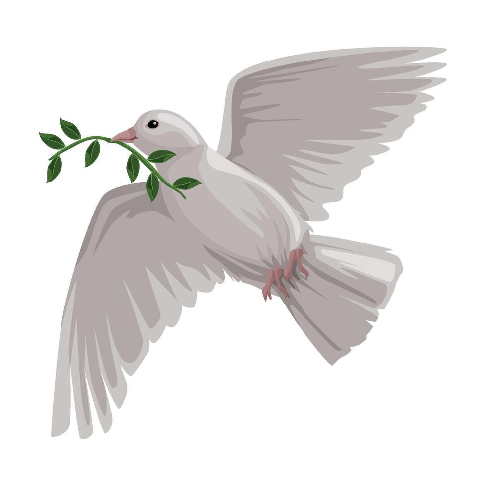 A white dove with an olive branch in its beak vector