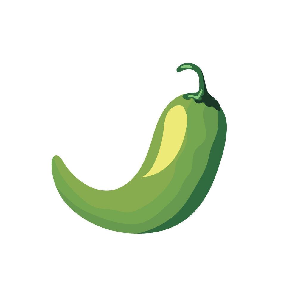 A green chili pepper on a white background vector