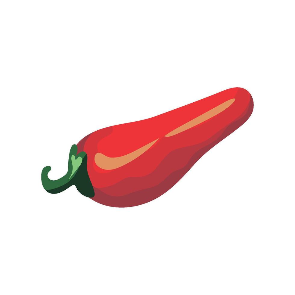 Red hot pepper illustration on white background vector