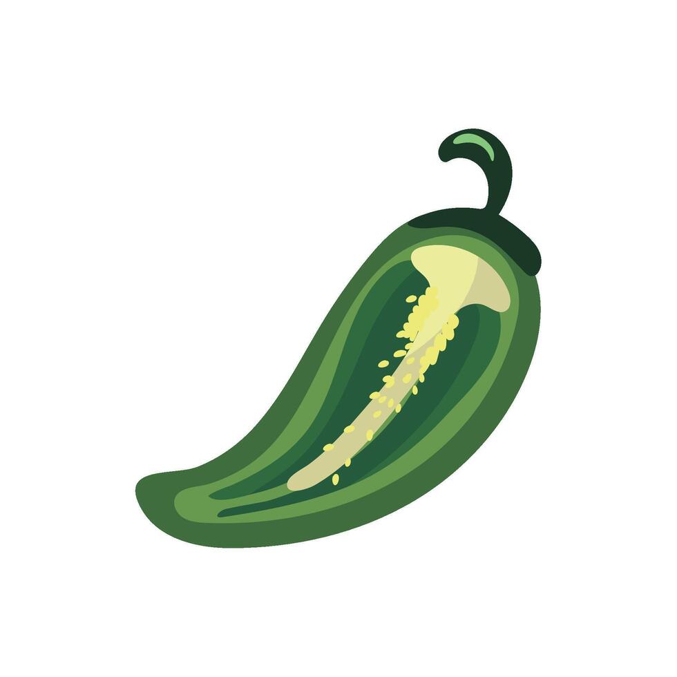 A green jalapeno pepper on a white background vector