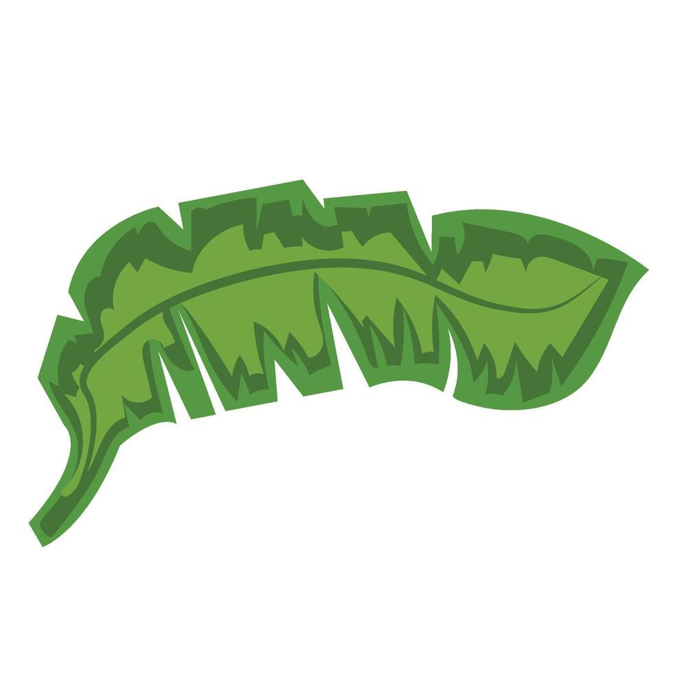 A green leaf on a white background vector