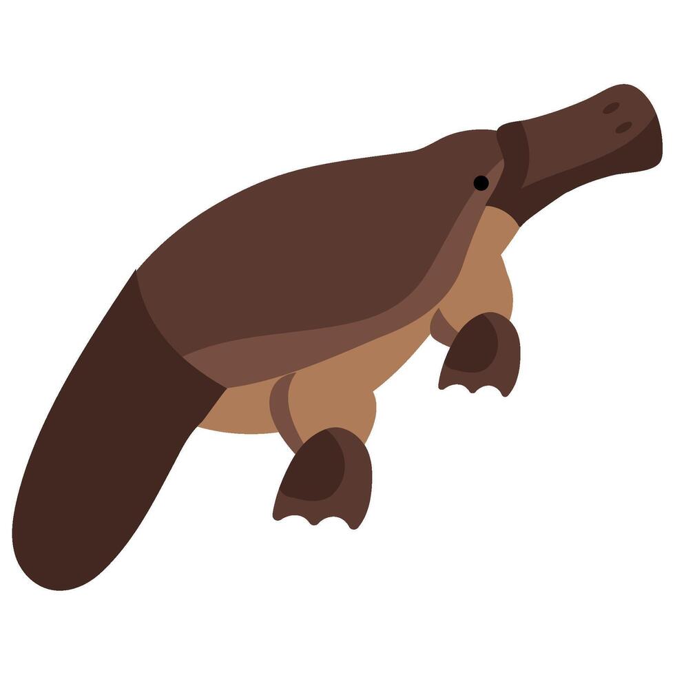 An illustration of a platypus vector