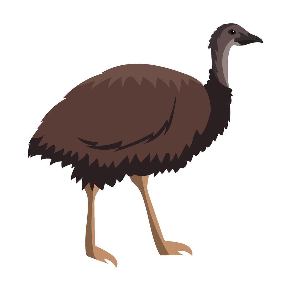 An emu is standing on its hind legs vector