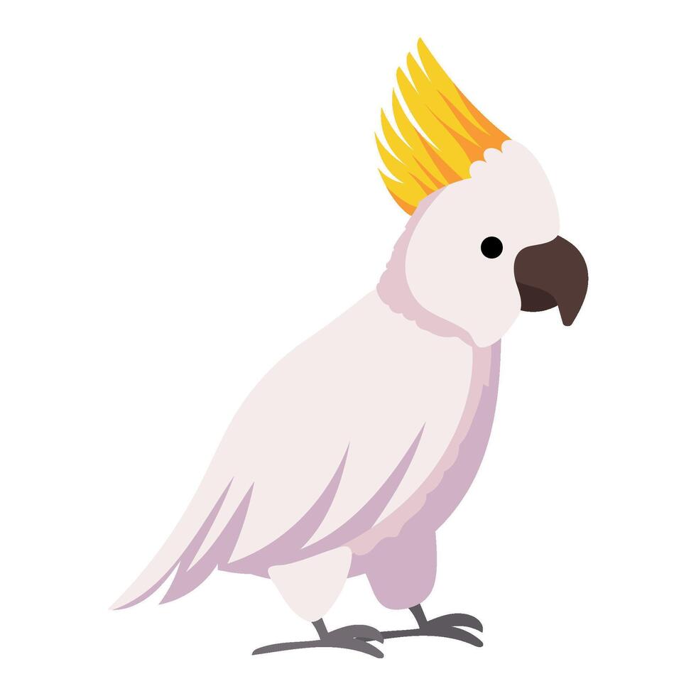 A cartoon white parrot with yellow feathers vector
