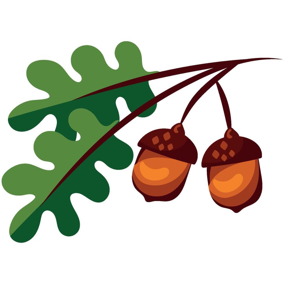 Two acorns and leaves on a branch vector