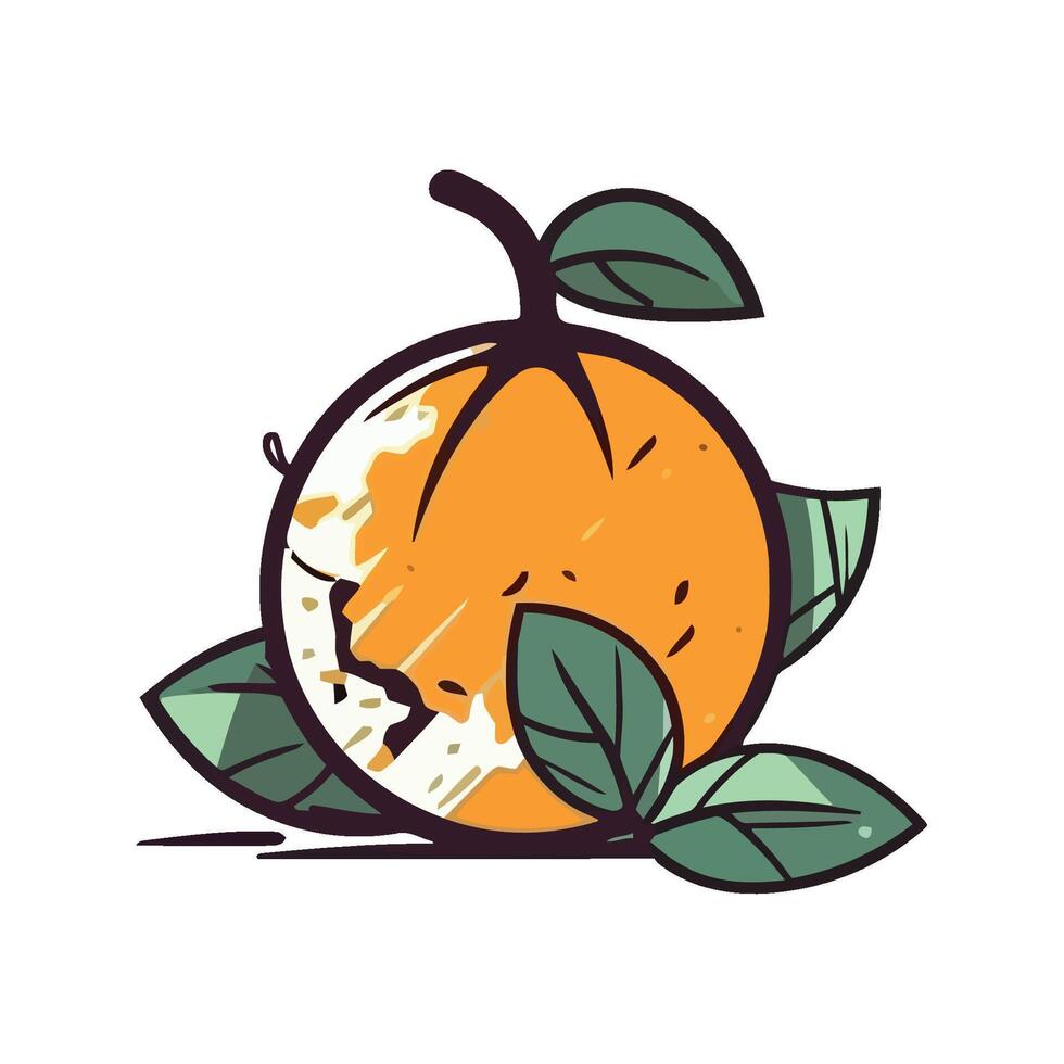 Orange fruit illustration vector