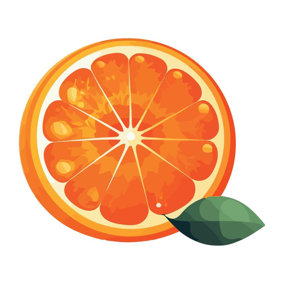 Orange slice with leaf illustration vector
