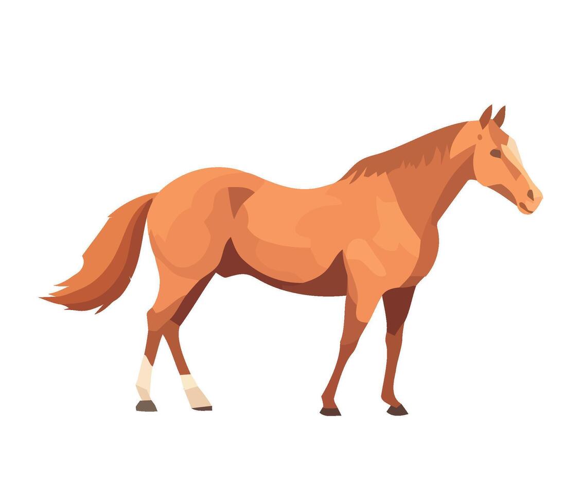 A horse standing on a white background vector