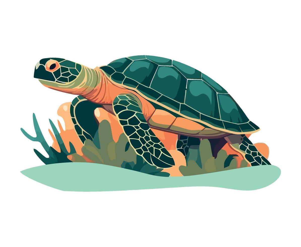 Sea turtle illustration on white background vector