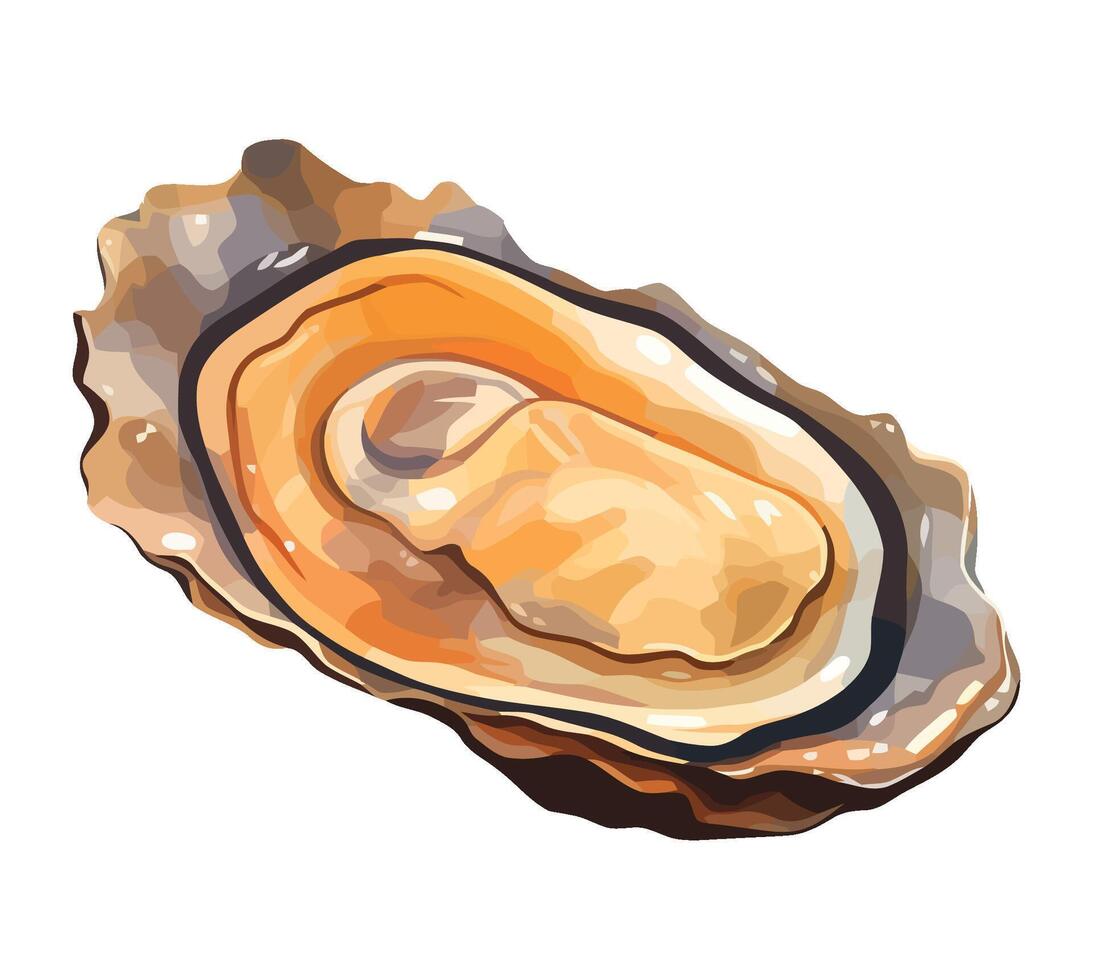Oyster on white background illustration vector