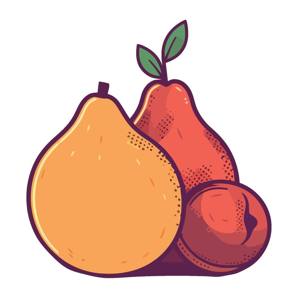 Pears and apricot fruit illustration vector