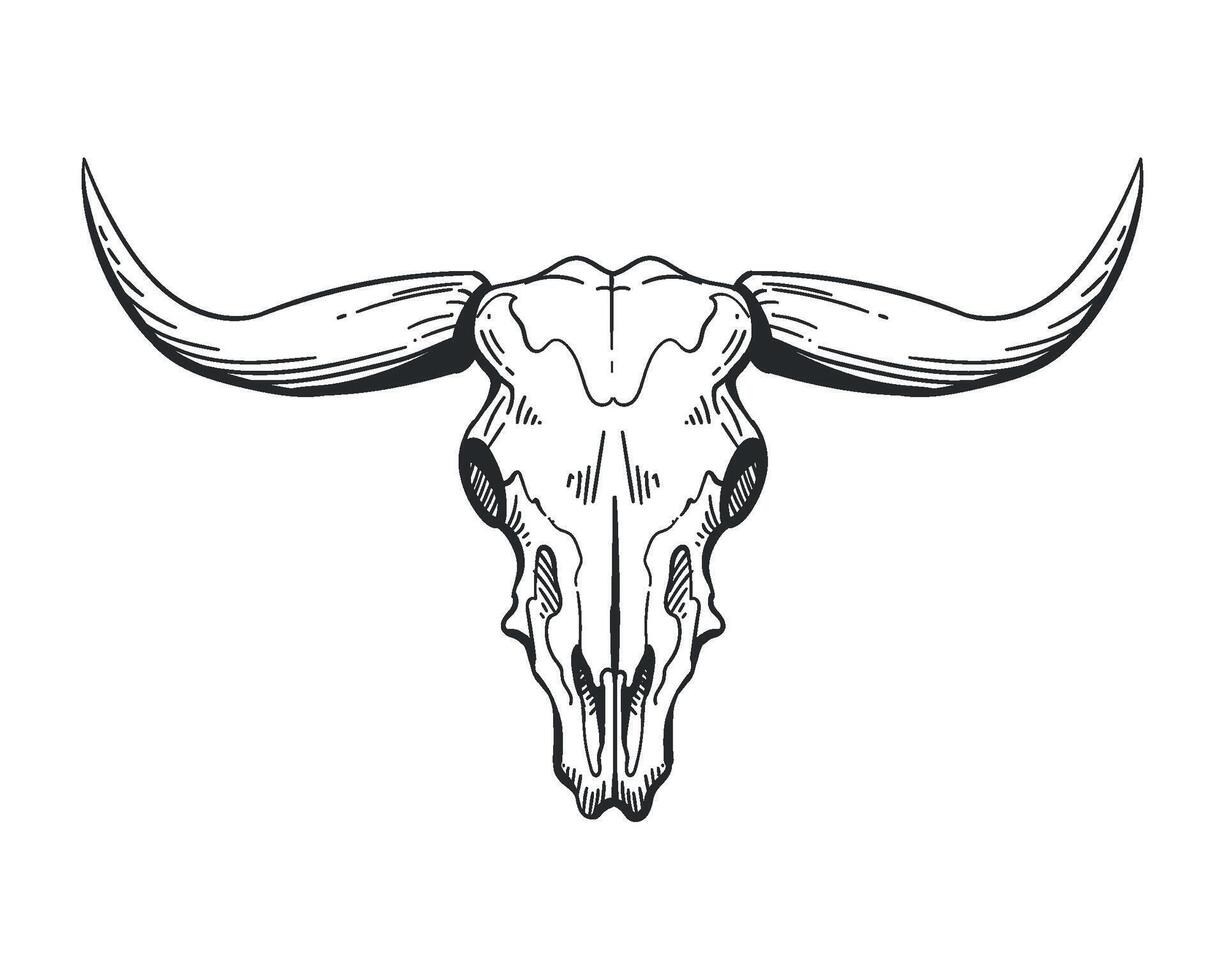 A black and white drawing of a bull skull vector