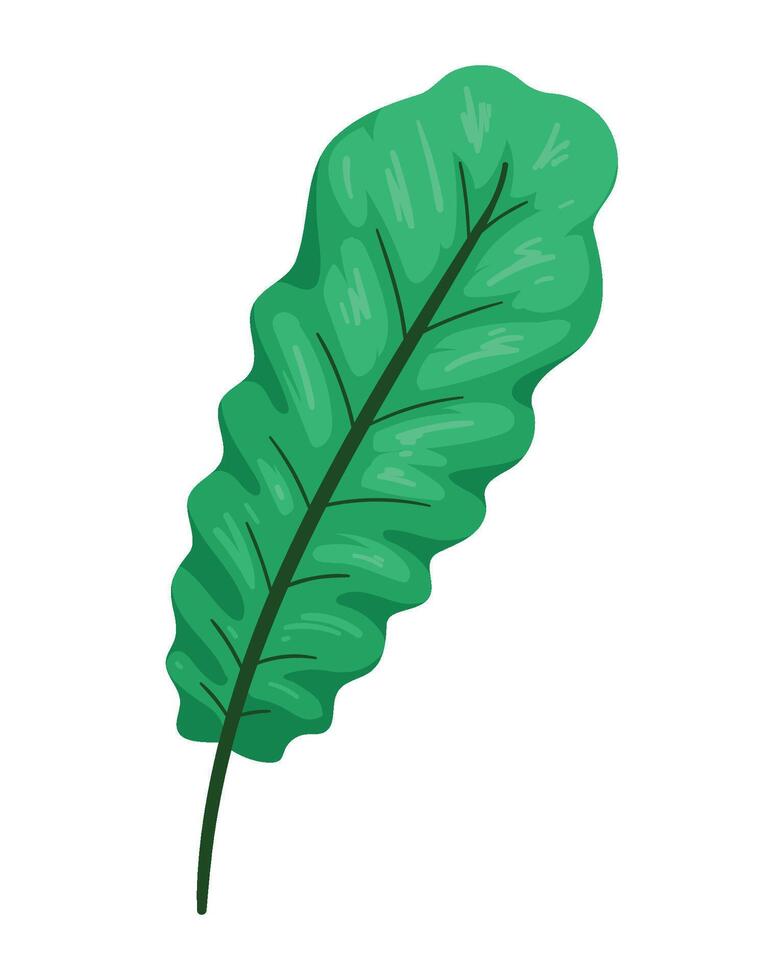 A green leaf on a white background vector