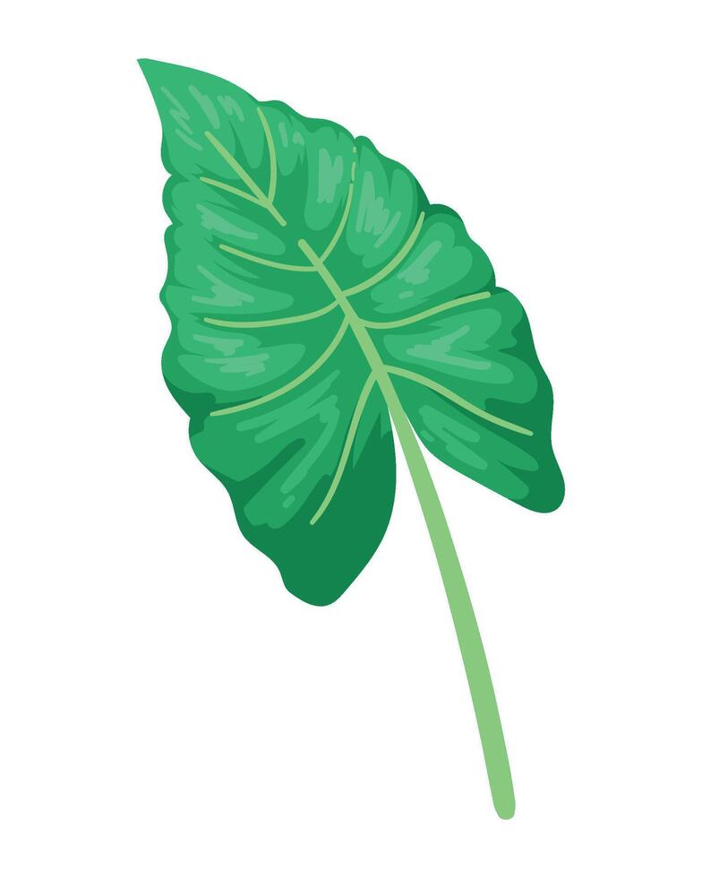 A green leaf on a white background vector