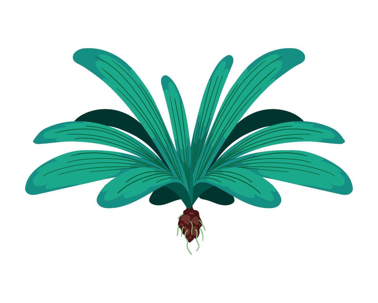 A green plant with long leaves and a root vector