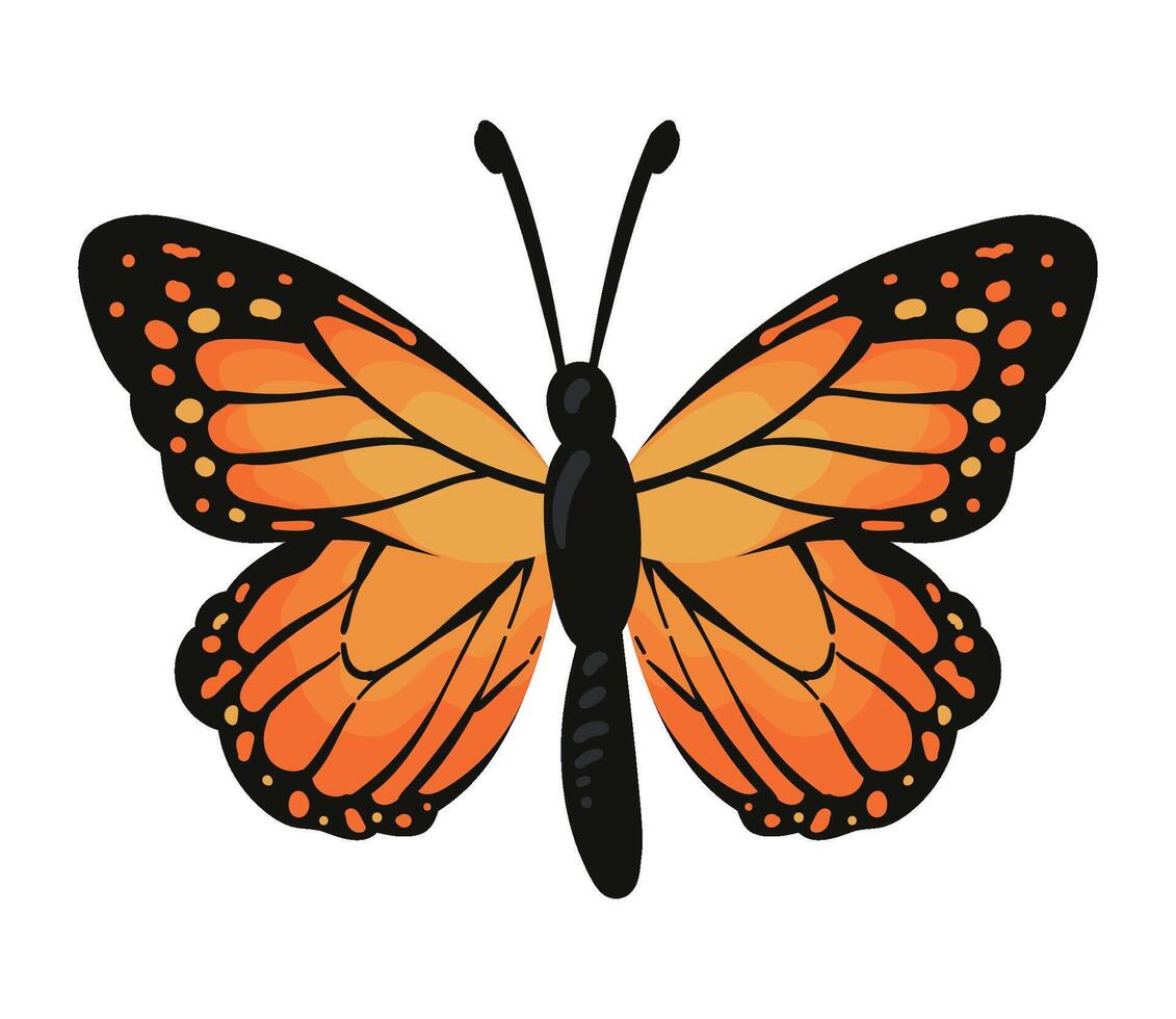 A butterfly with orange wings on a white background vector