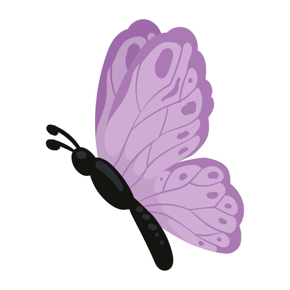 A purple butterfly with black wings on a white background vector