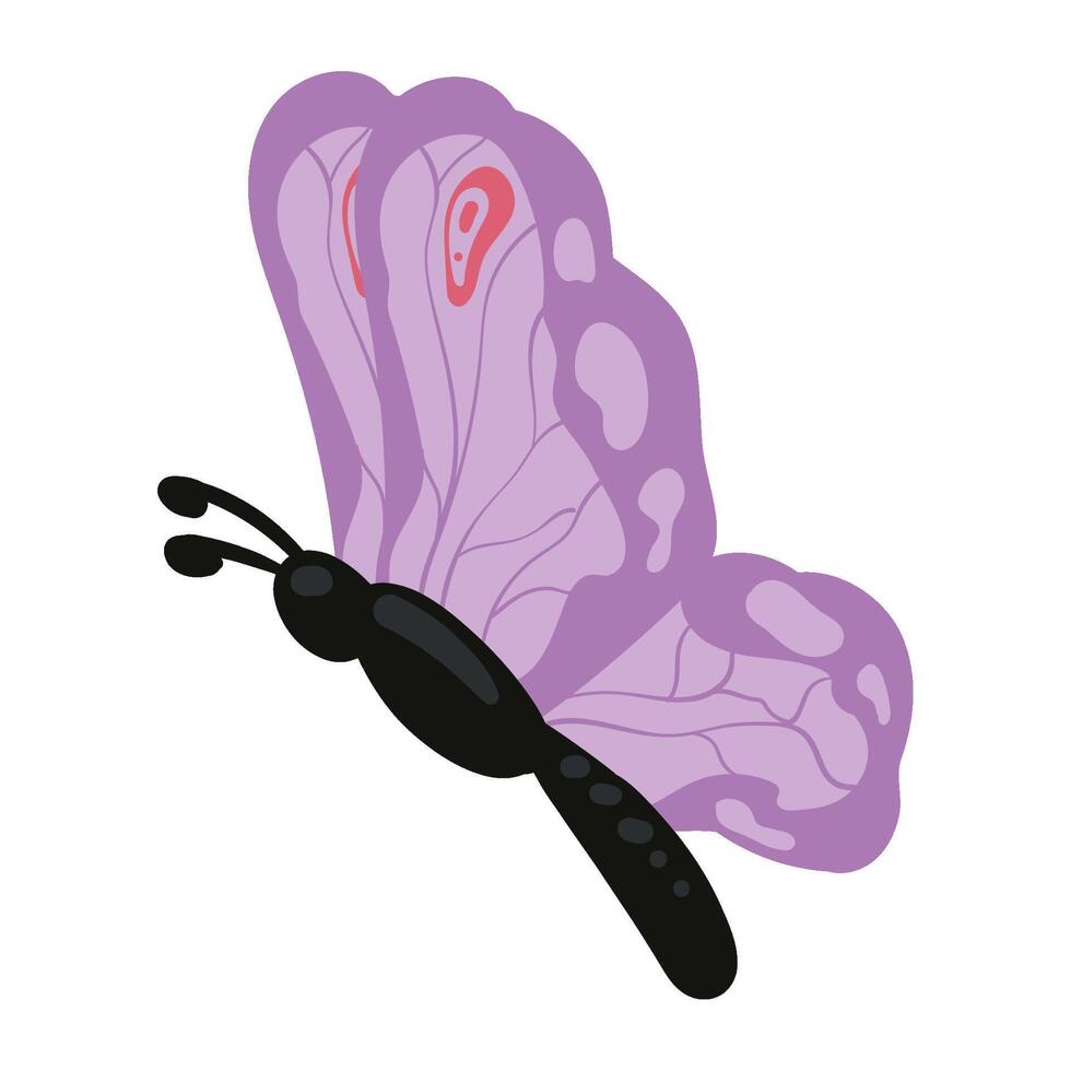 A purple butterfly with black wings and a black tail vector