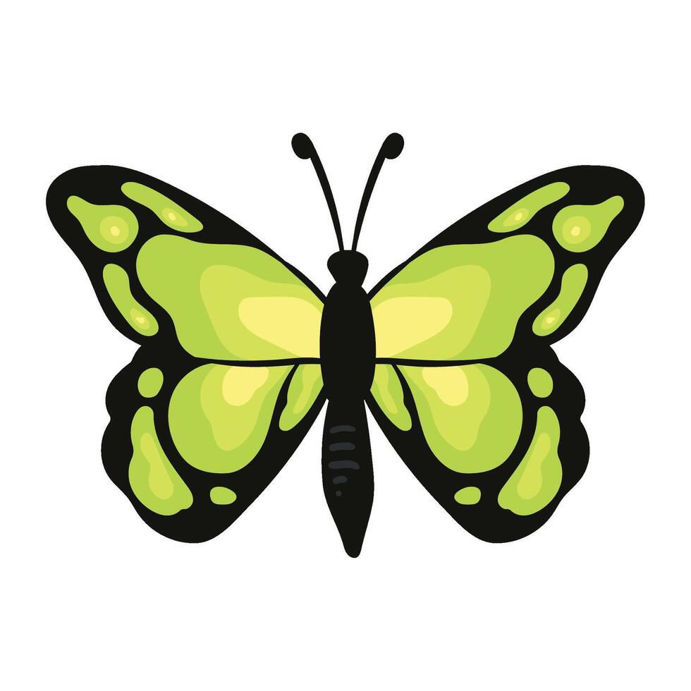 A green butterfly with black wings on a white background vector