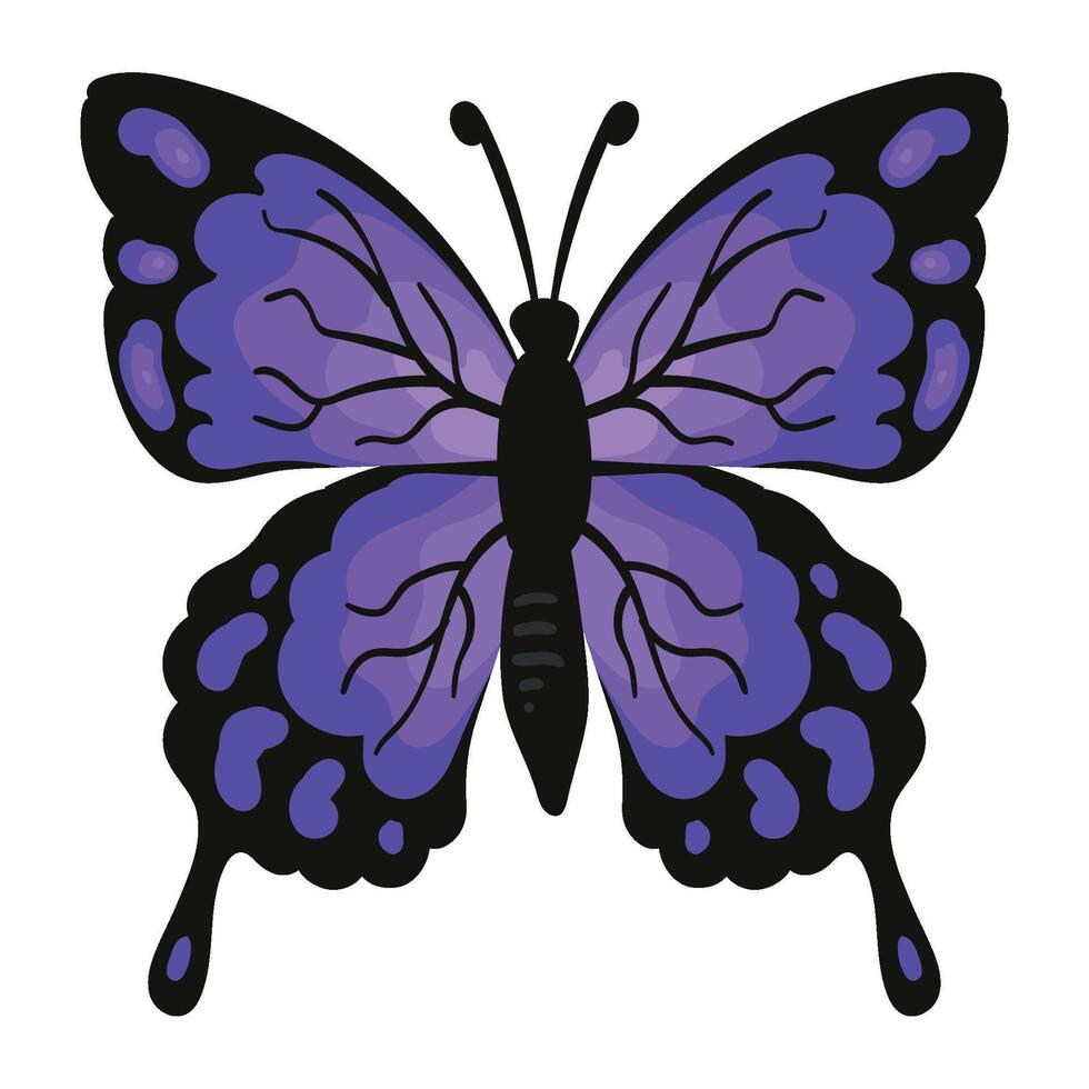 A purple butterfly with black wings on a white background vector