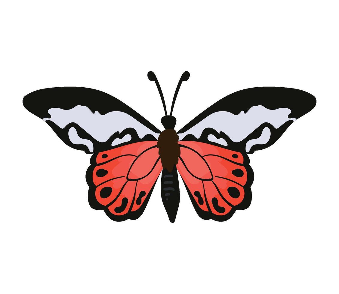 A red and black butterfly on a white background vector