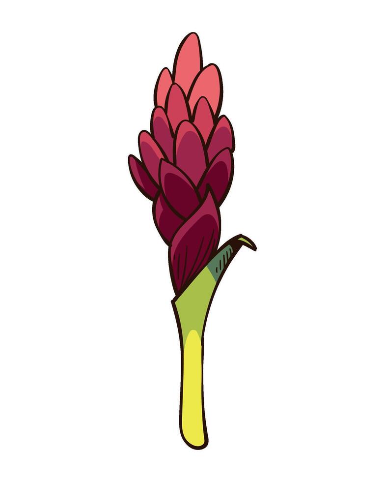 A red flower with green leaves on a white background vector