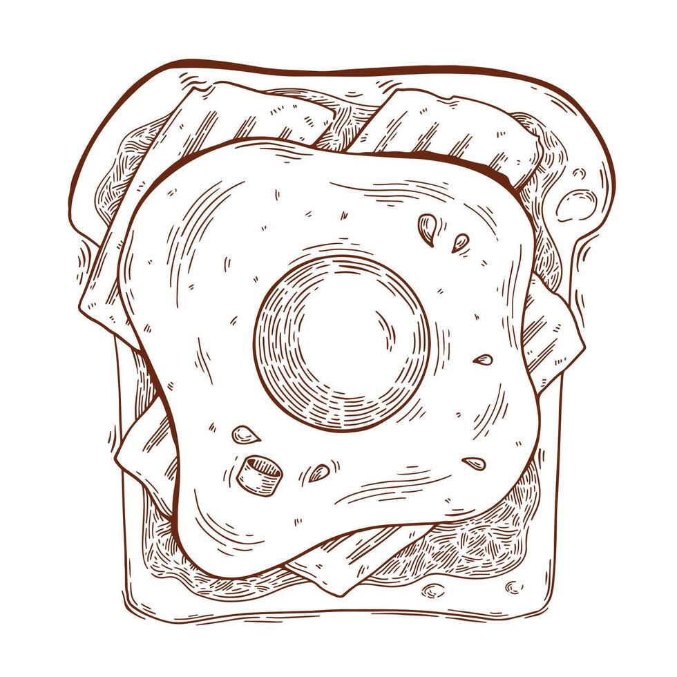 Egg and bacon on a toast bread. Hand drawn line art illustration. Detailed food drawing for packaging, advertisement, menu vector