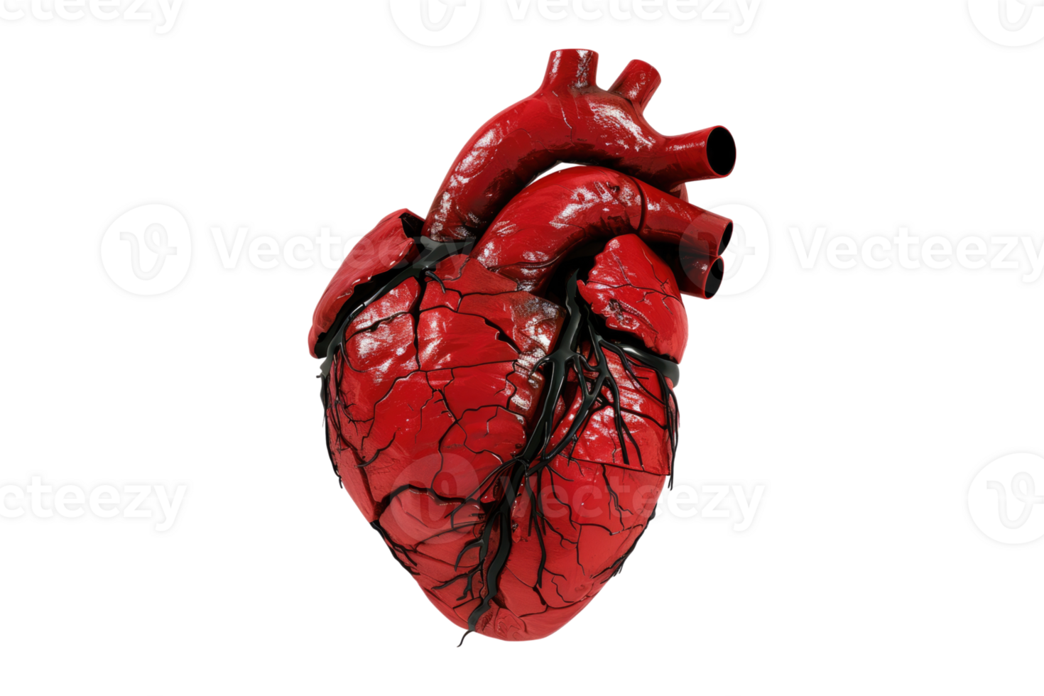 Red heart model isolated on transparent background. png