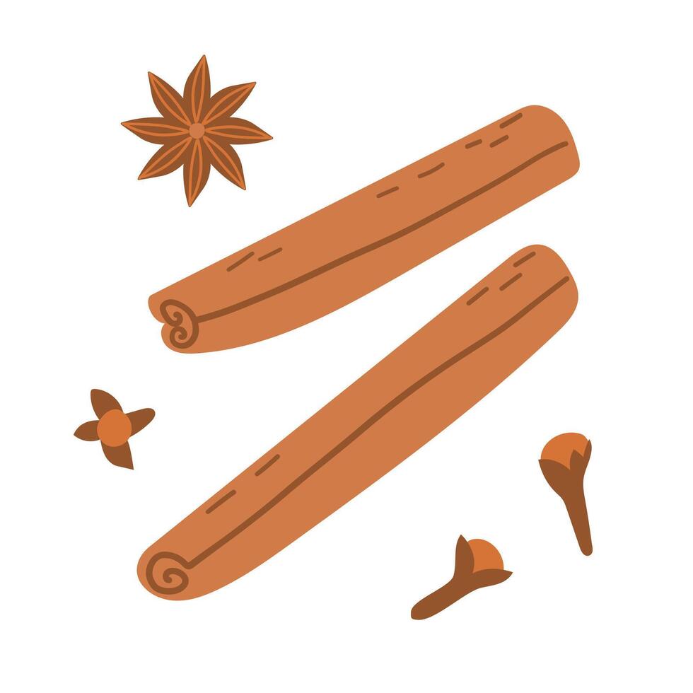 Indian dry anise star pod of anis bud,cinnamon cassia bark on white backdrop. Bright brown hand drawn star anise, cinnamon in retro art doodle style. Close up macro Chinese sweet cinnamon product vector