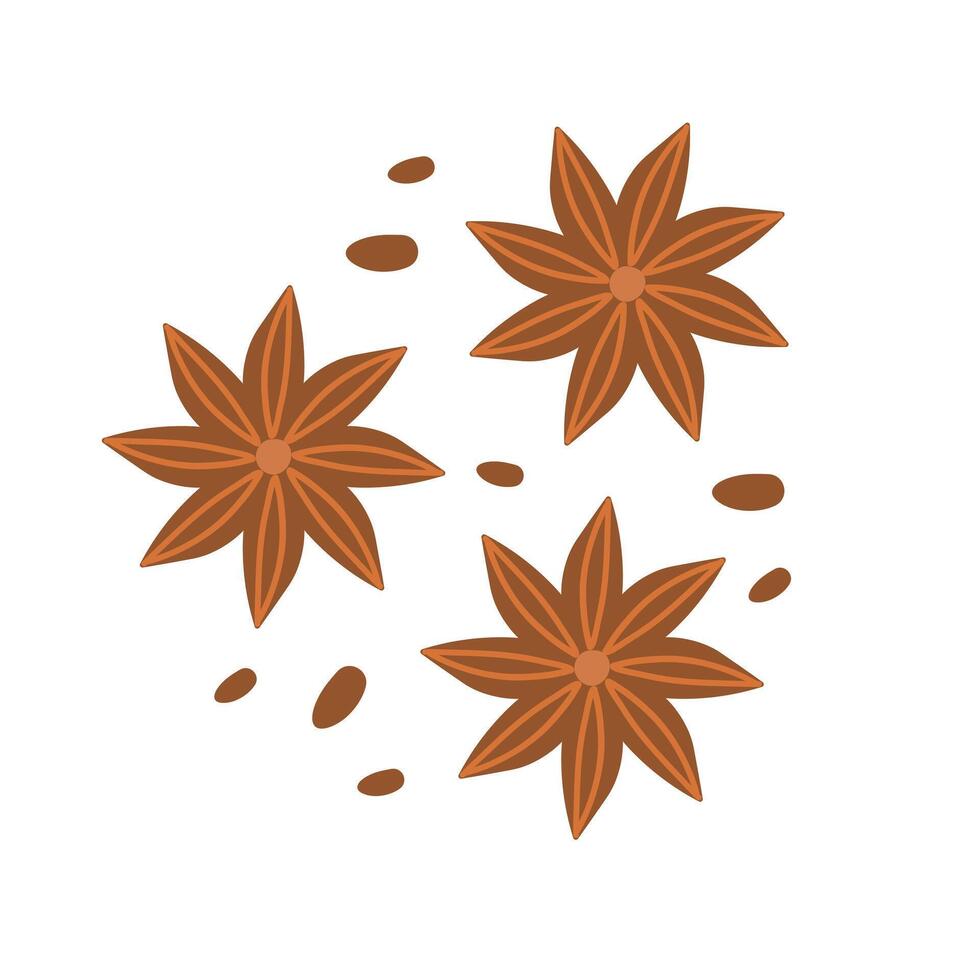 Dry aniseed or star anise. Composition of Chinese winter spice, with seeds. Doodle flat illustration. Hand drawn detailed illustration of illicium isolated on white background vector