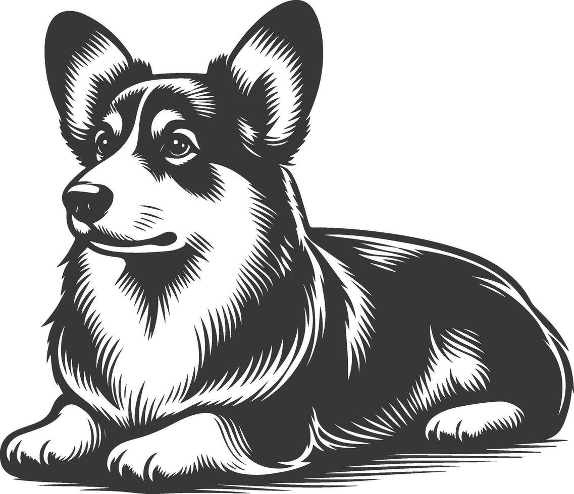 pembroke welsh corgi dog silhouette design vector