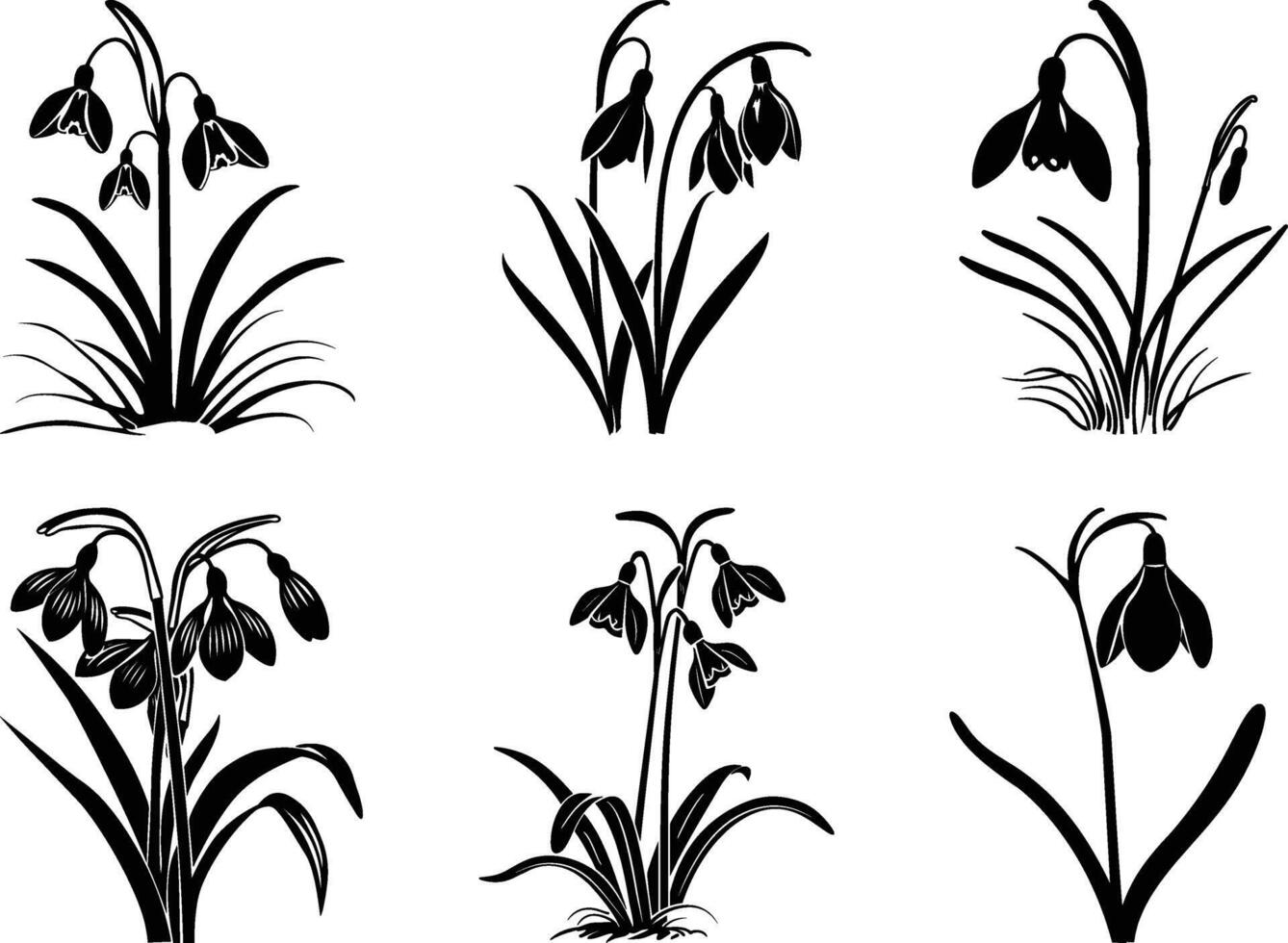 Snowdrop flower silhouette, black silhouette of snowdrop flower isolated. Spring flower icon, Snowdrop illustration, drawing, engraving, ink, vector
