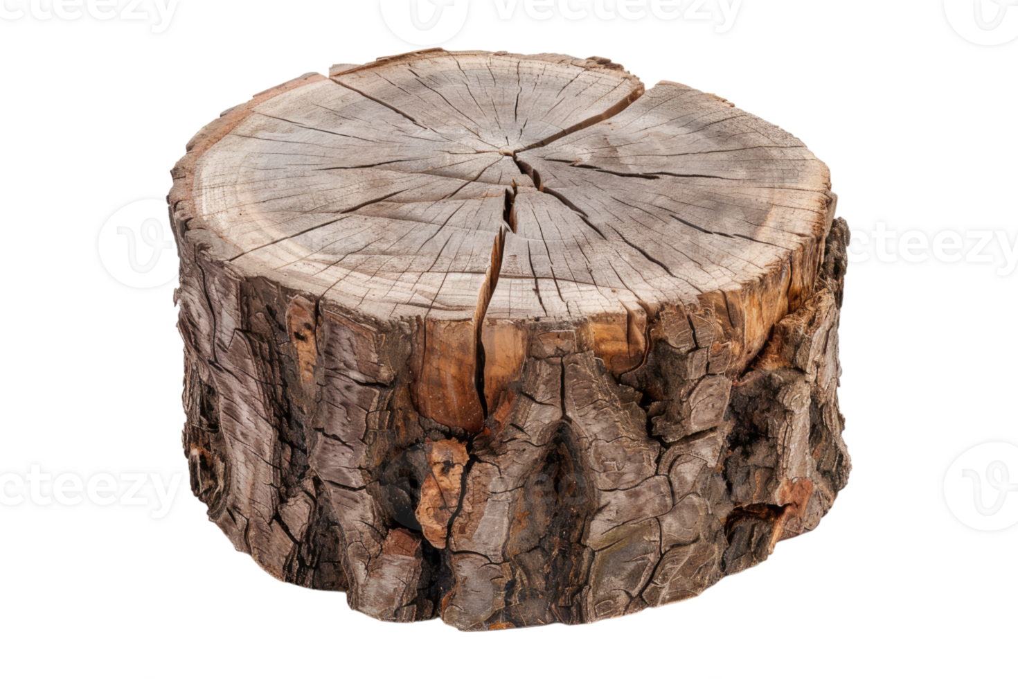 Tree trunk block isolated on transparent background. png