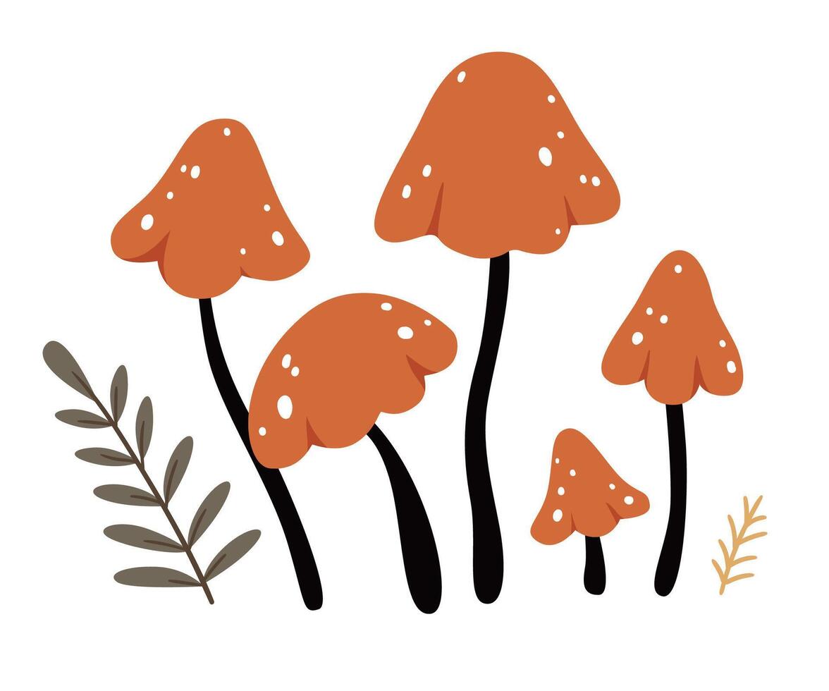 Autumn mushrooms.Forest plants sketches.Hello autumn. vector