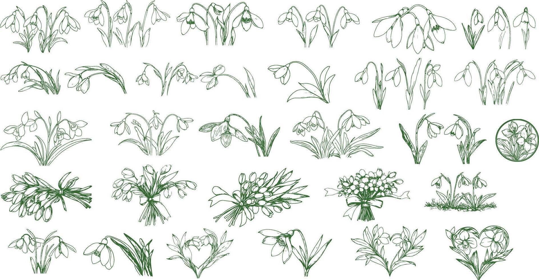 Line art snowdrop flower collection vector