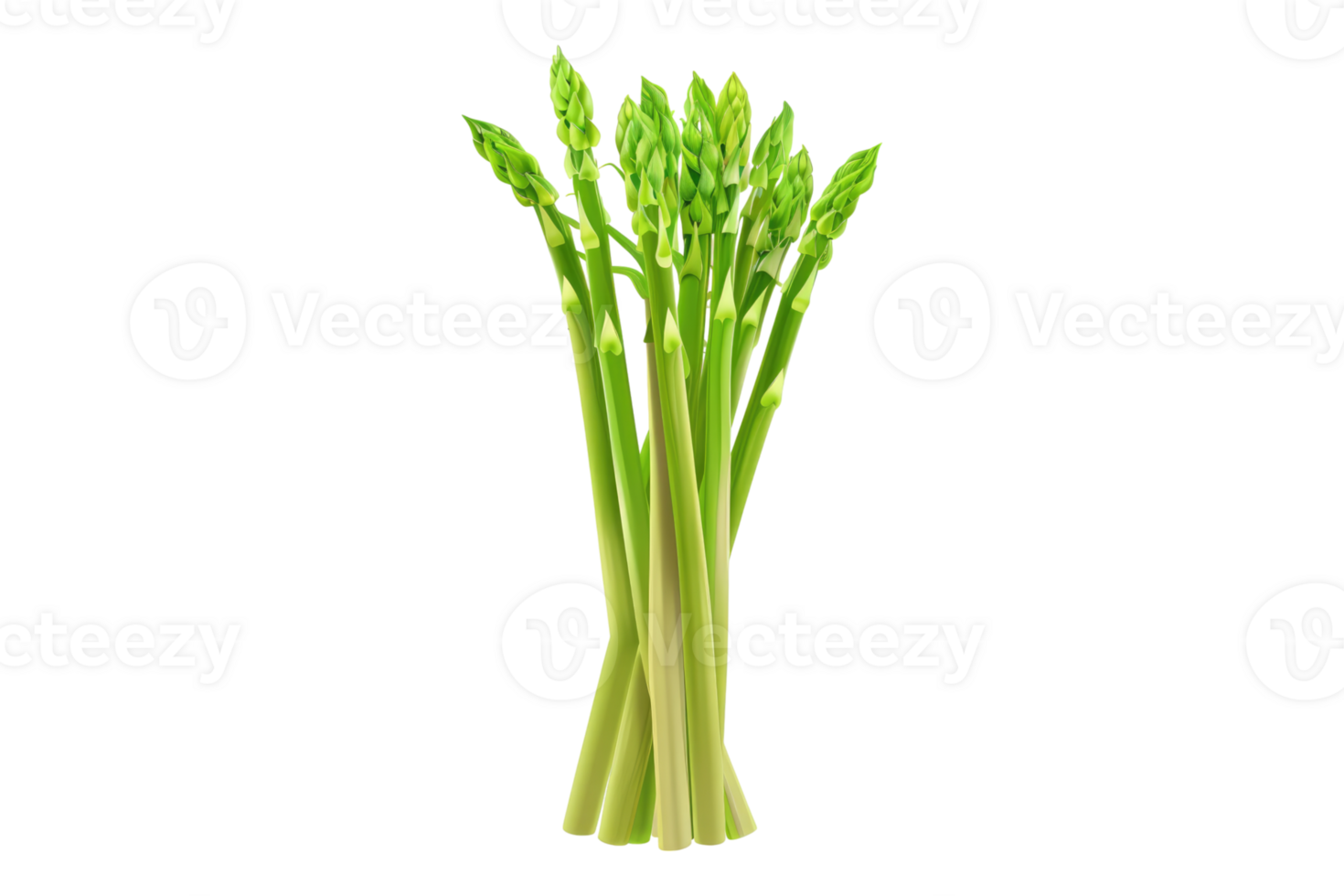 Green asparagus isolated on transparent background. png