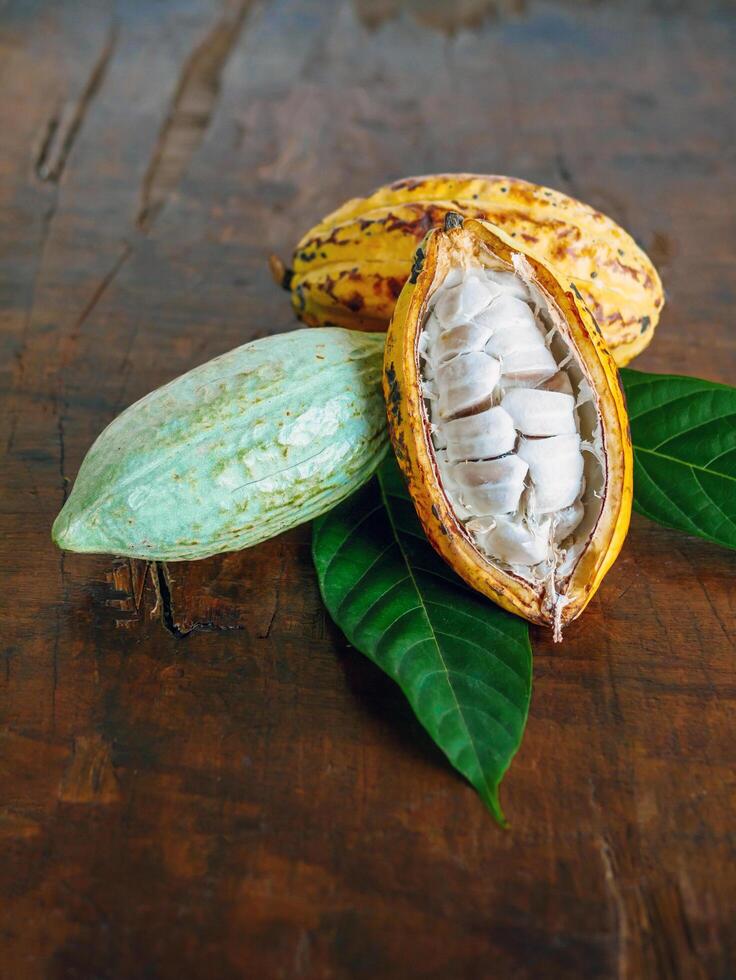 Half sliced ripe yellow cacao pod with white cocoa seed ,Cut in half fresh ripe cacao and green raw cacao fruit on wooden background,Close-up photo