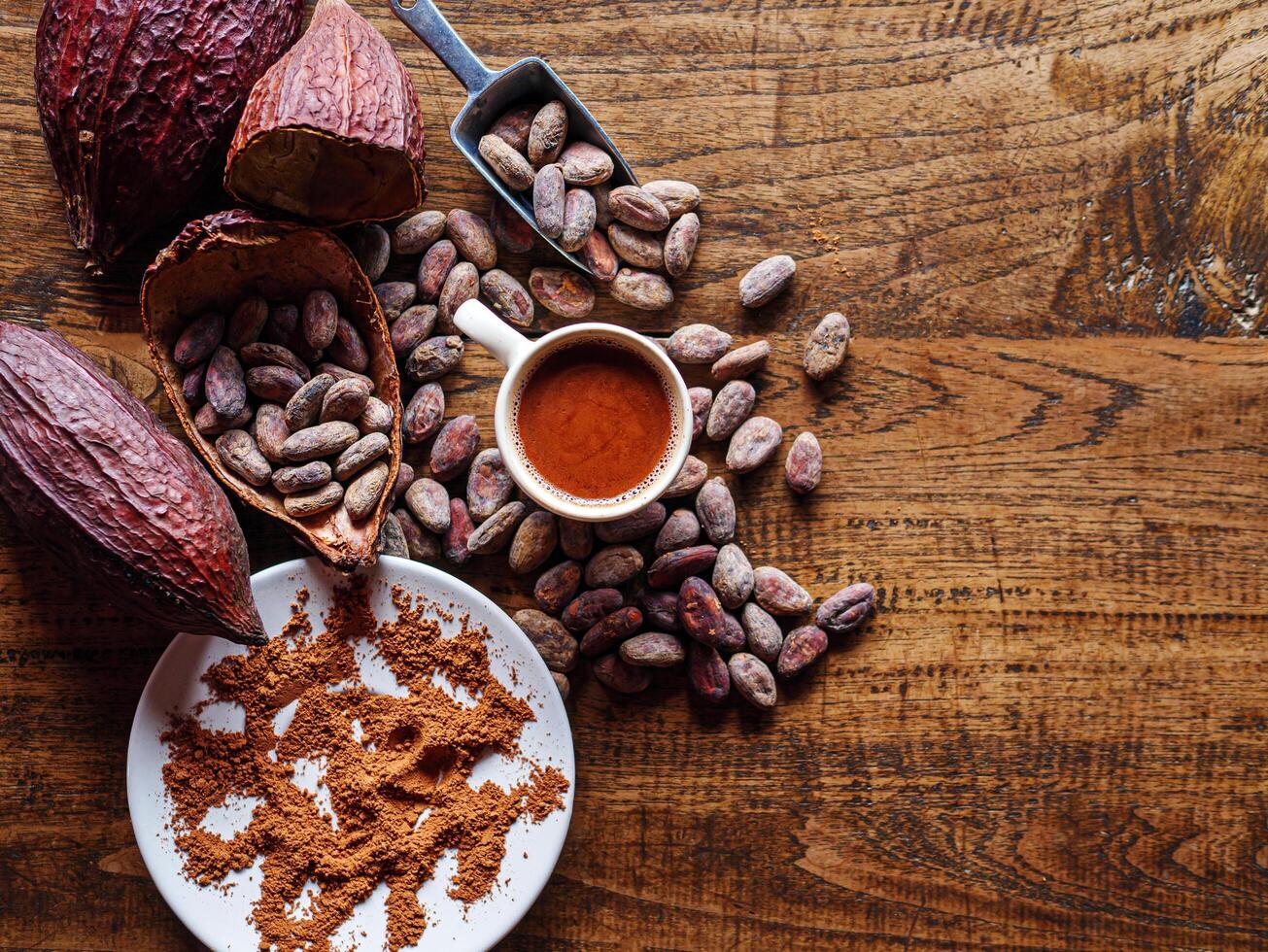 Top view of hot chocolate drink,cocoa drink and natural cocoa powder with brown cocoa beans and dry cacao pod on a vintage wooden table. photo