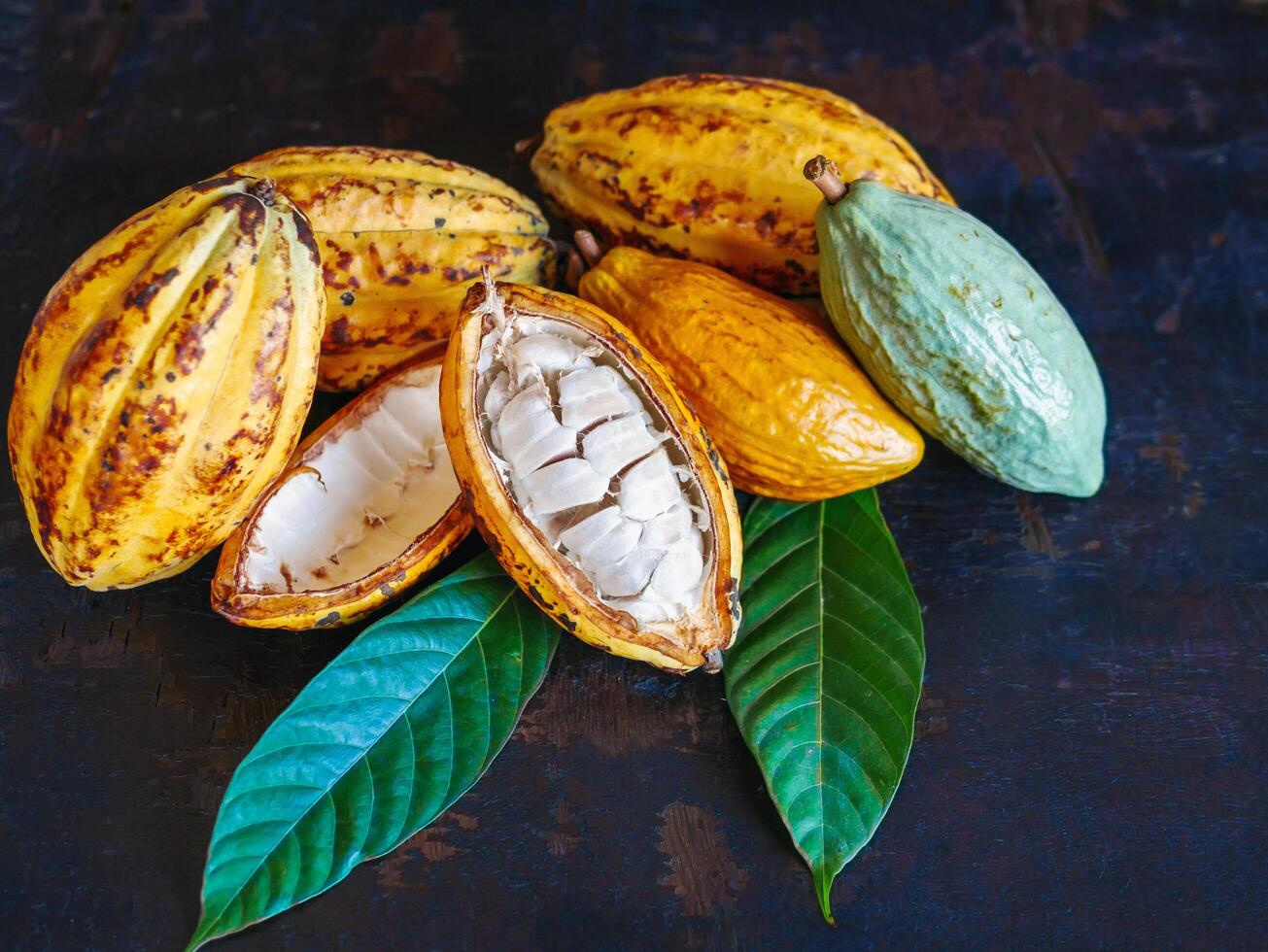 Half sliced ripe yellow cacao pod with white cocoa seed ,Cut in half fresh ripe cacao and green raw cacao fruit on wooden background photo