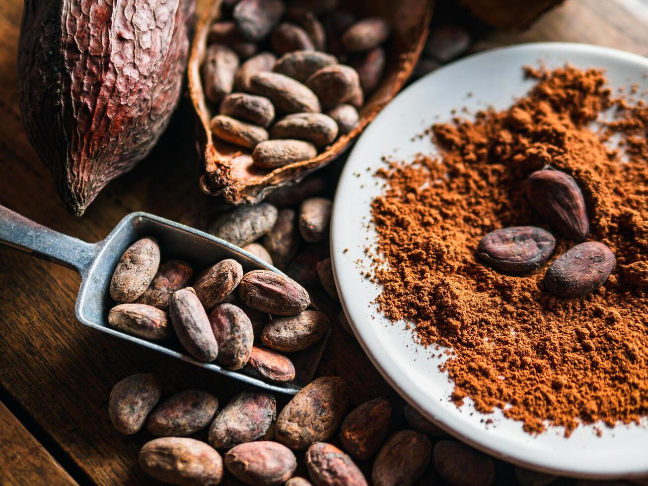 Close-up of Natural cocoa powder with brown cocoa beans and dry cacao pod on a vintage wooden table. photo