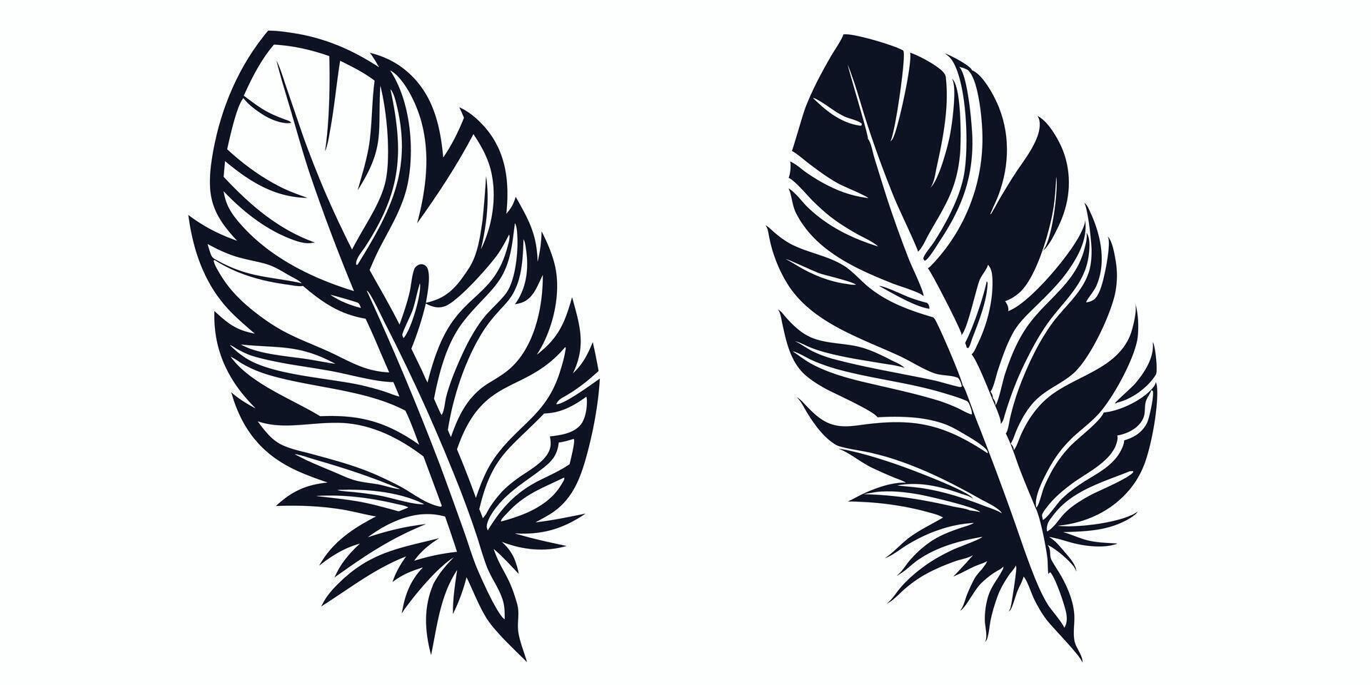 two black and white feathers on a white background vector