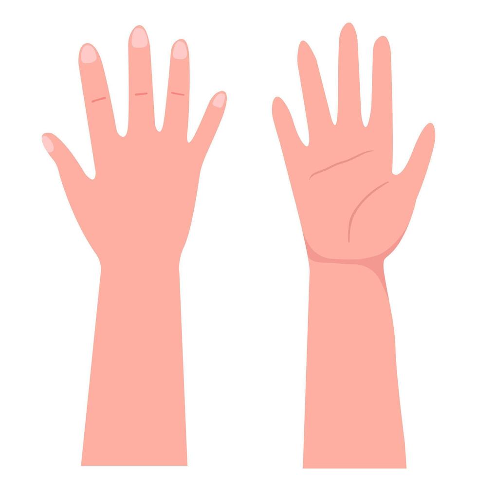 Left and right Raised hand with open palm vector