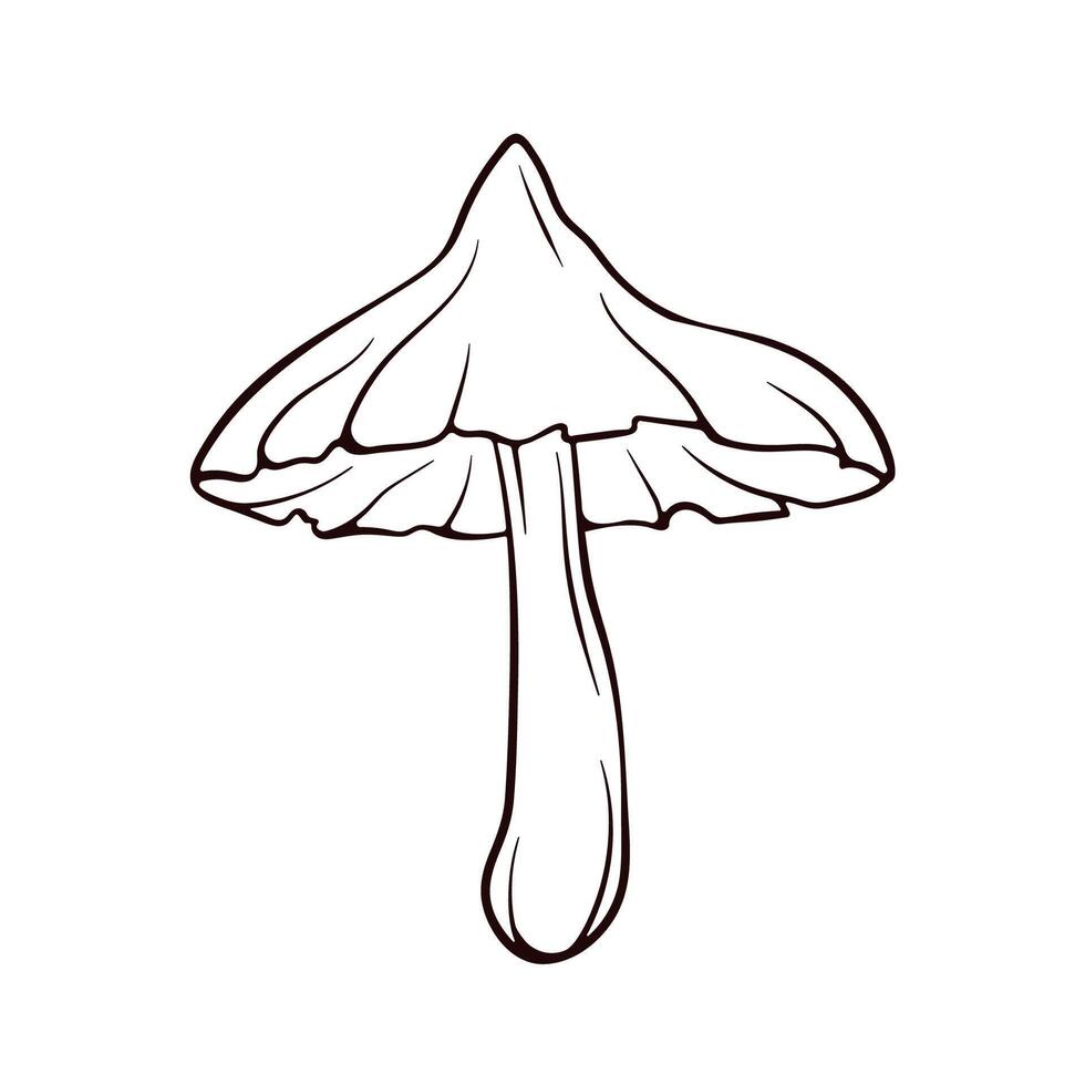 Deadly Webcap mushroom in line art style. Mature mushroom with a wide cap. Autumn design. illustration isolated on a white background. vector