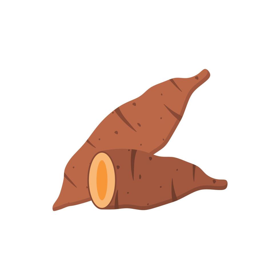 sweet potato flat design illustration. Natural food, veggies icons. Flat illustration isolated on white background. vector