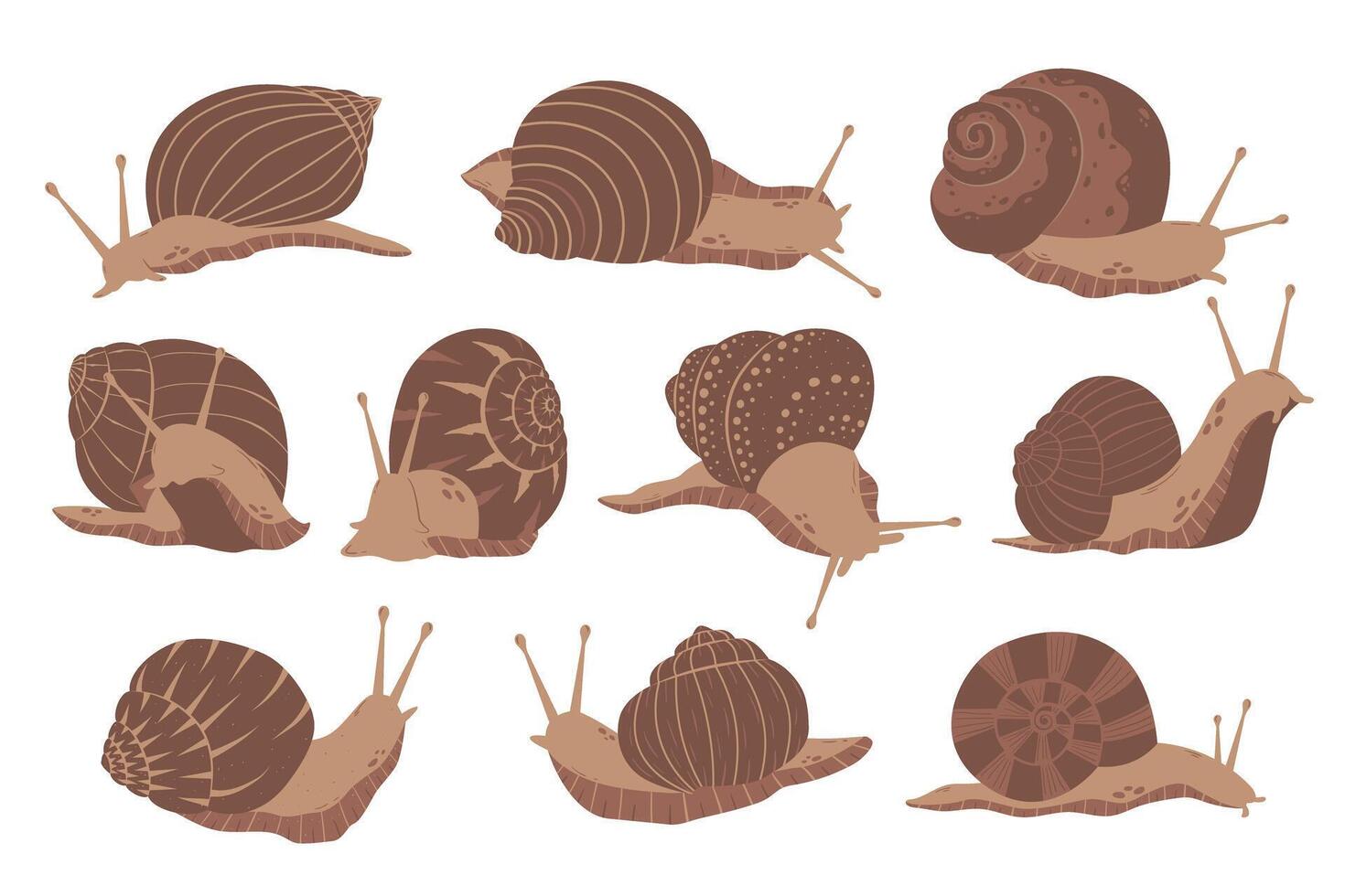 Set of realistic flat brown snails. Detailed minimalistic illustration. Gastropod mollusk with shell. French cuisine vector
