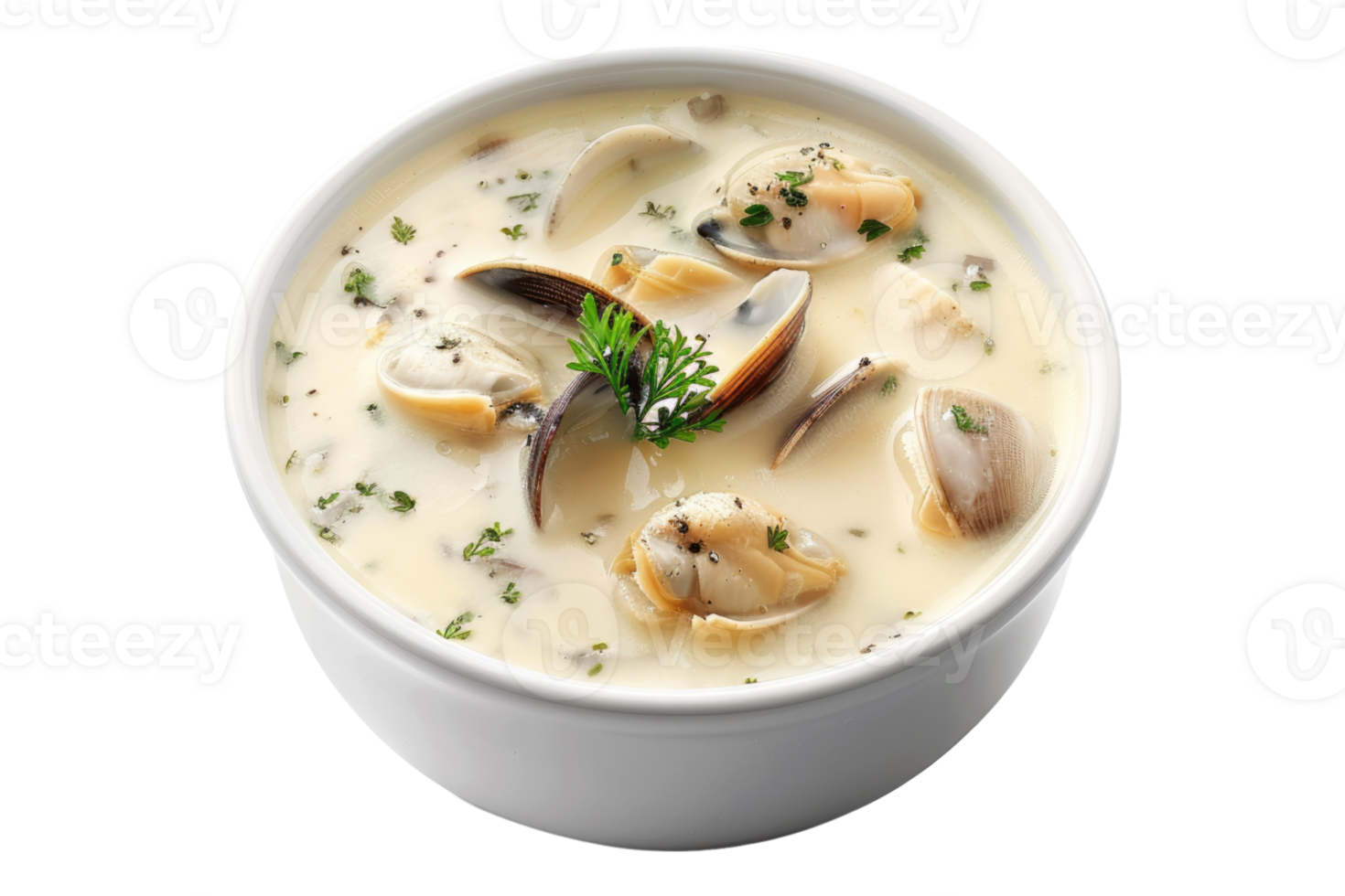 Clam chowder soup or curry isolated on transparent background. png
