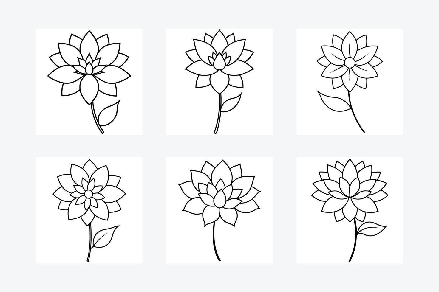 Dahlia flower line art illustration vector